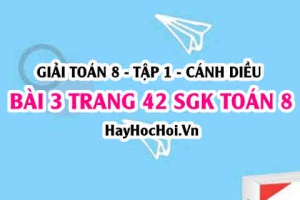 Giải bài 3 trang 42 Toán 8 Tập 1 SGK Cánh Diều